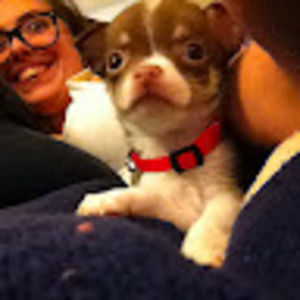 Meet your Posher, Nora